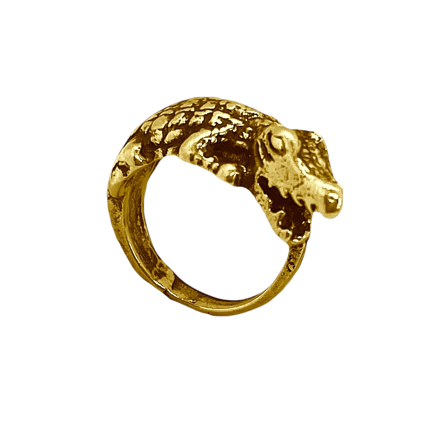 Anillo cocodrilo en dorado envejecido. Talla 14